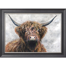 Load image into Gallery viewer, Harris