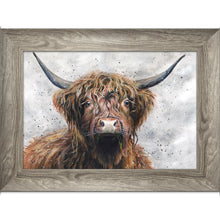 Load image into Gallery viewer, Harris