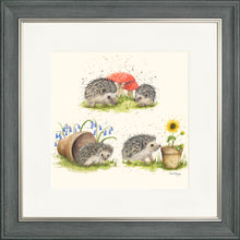 Load image into Gallery viewer, Hedgehog Harmony