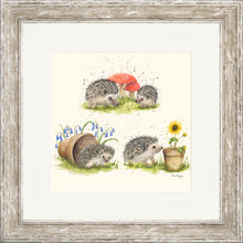 Load image into Gallery viewer, Hedgehog Harmony