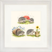 Load image into Gallery viewer, Hedgehog Harmony