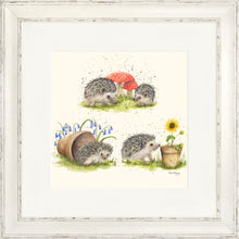 Load image into Gallery viewer, Hedgehog Harmony