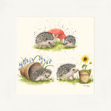 Load image into Gallery viewer, Hedgehog Harmony