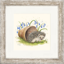 Load image into Gallery viewer, Honeydew