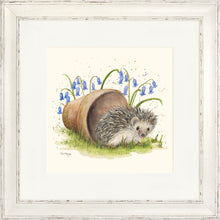 Load image into Gallery viewer, Honeydew