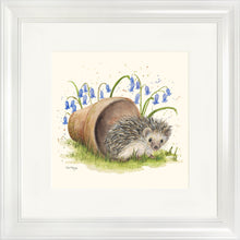 Load image into Gallery viewer, Honeydew