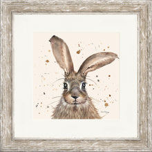Load image into Gallery viewer, Horatio