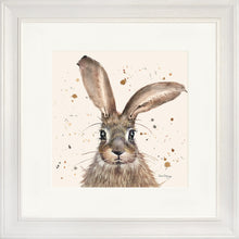 Load image into Gallery viewer, Horatio