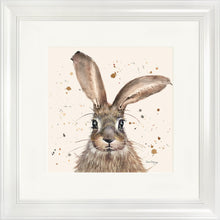 Load image into Gallery viewer, Horatio