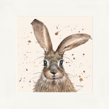 Load image into Gallery viewer, Horatio