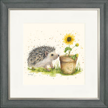 Load image into Gallery viewer, Humphrey