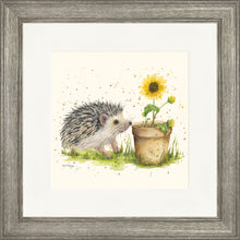 Load image into Gallery viewer, Humphrey