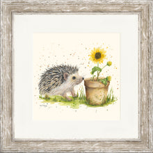 Load image into Gallery viewer, Humphrey