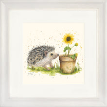 Load image into Gallery viewer, Humphrey