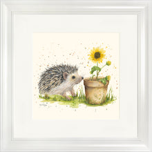 Load image into Gallery viewer, Humphrey