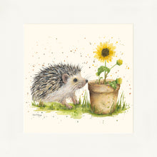 Load image into Gallery viewer, Humphrey