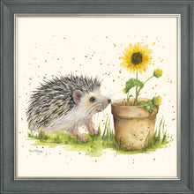 Load image into Gallery viewer, Humphrey