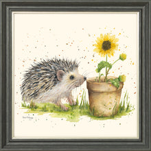 Load image into Gallery viewer, Humphrey