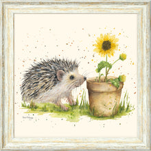 Load image into Gallery viewer, Humphrey