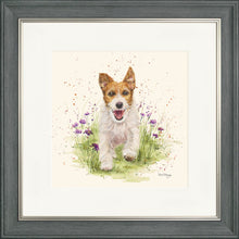 Load image into Gallery viewer, Jed