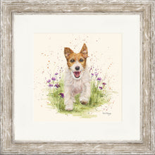 Load image into Gallery viewer, Jed