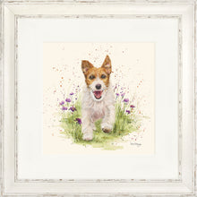 Load image into Gallery viewer, Jed