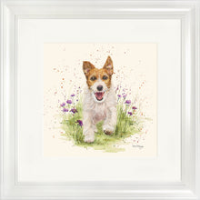Load image into Gallery viewer, Jed
