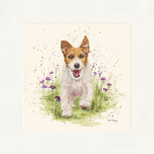 Load image into Gallery viewer, Jed