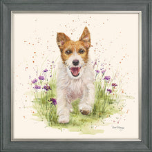 Load image into Gallery viewer, Jed