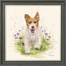 Load image into Gallery viewer, Jed