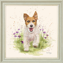Load image into Gallery viewer, Jed