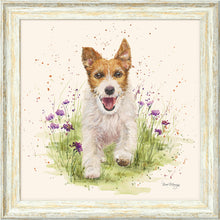 Load image into Gallery viewer, Jed