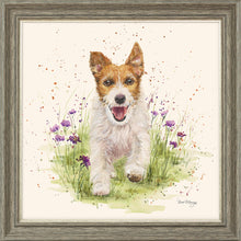 Load image into Gallery viewer, Jed