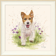 Load image into Gallery viewer, Jed