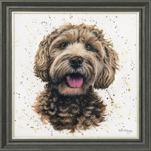 Load image into Gallery viewer, Lacey