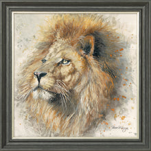 Load image into Gallery viewer, Lex