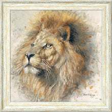 Load image into Gallery viewer, Lex