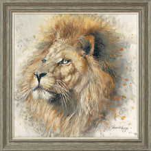 Load image into Gallery viewer, Lex