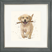 Load image into Gallery viewer, Lucky