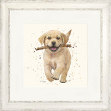 Load image into Gallery viewer, Lucky