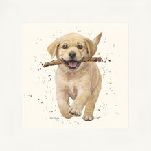 Load image into Gallery viewer, Lucky