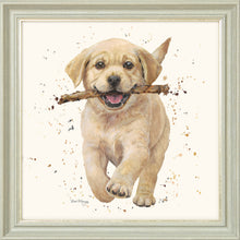 Load image into Gallery viewer, Lucky