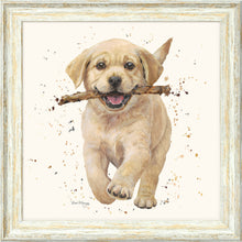 Load image into Gallery viewer, Lucky