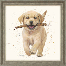 Load image into Gallery viewer, Lucky