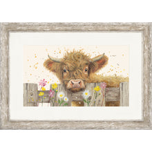 Load image into Gallery viewer, Maple