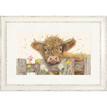 Load image into Gallery viewer, Maple