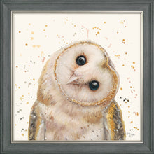 Load image into Gallery viewer, Oreo