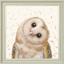 Load image into Gallery viewer, Oreo