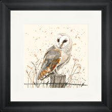 Load image into Gallery viewer, Oswald