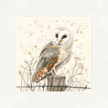 Load image into Gallery viewer, Oswald